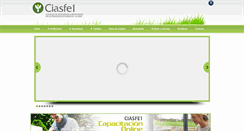 Desktop Screenshot of ciasfe1.org