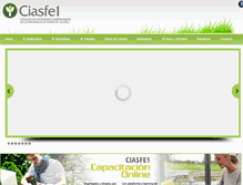 Tablet Screenshot of ciasfe1.org